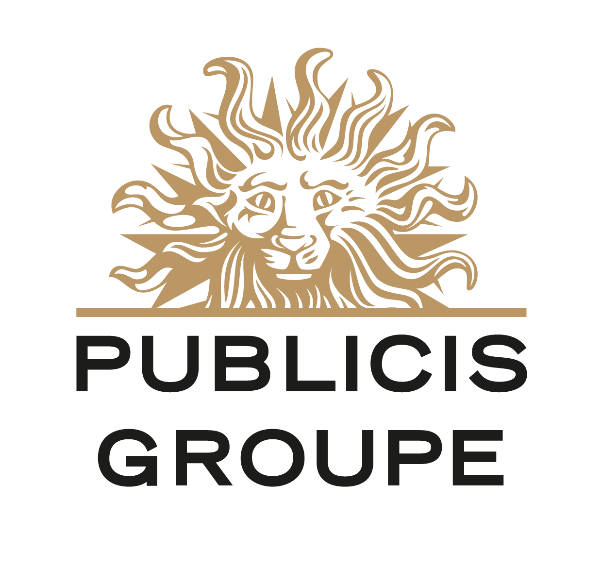 Logo Publicis groupe